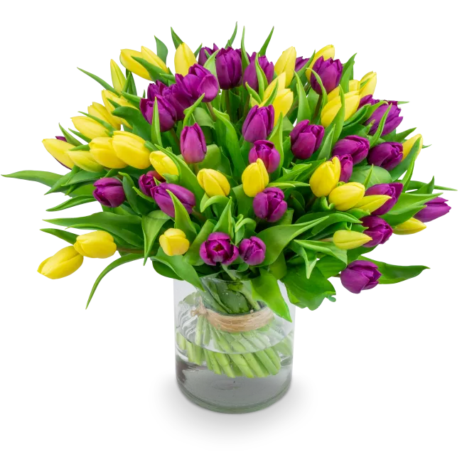 Kytice tulipánů
